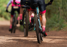 Złote ścieżki w Głuchołazach